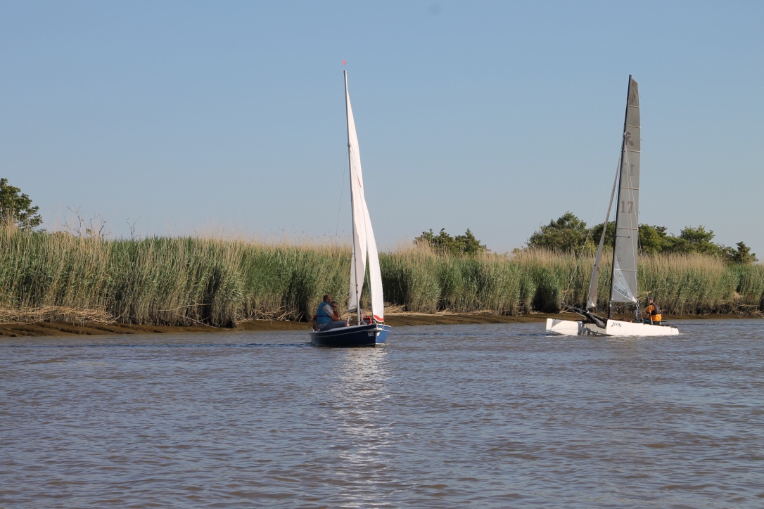 NSG Erwachsenensegeln